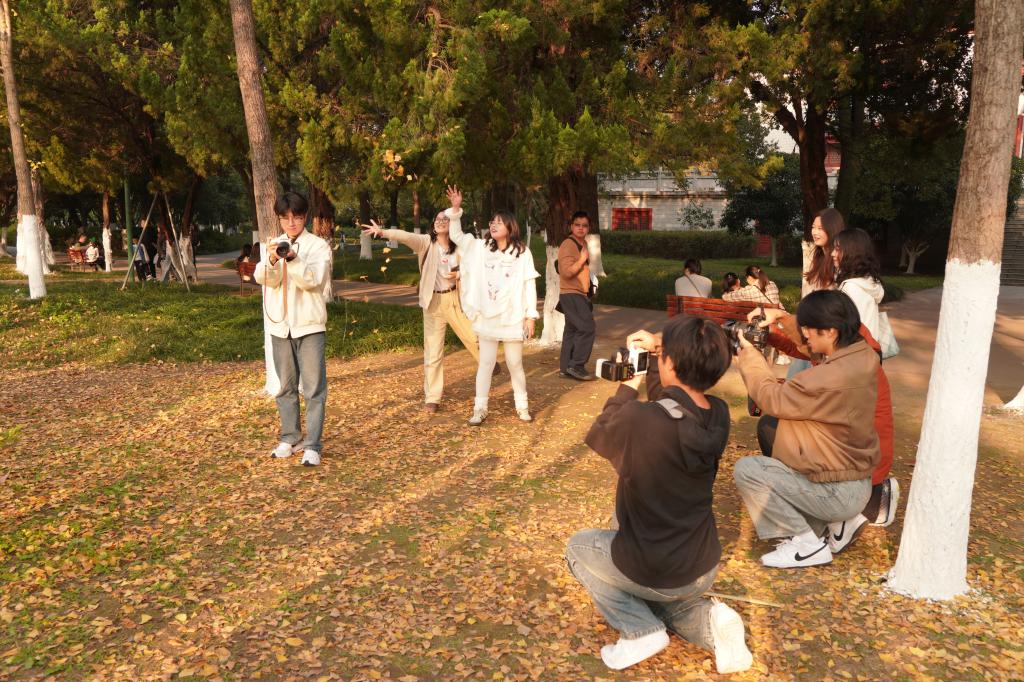 mk网页版登录入口